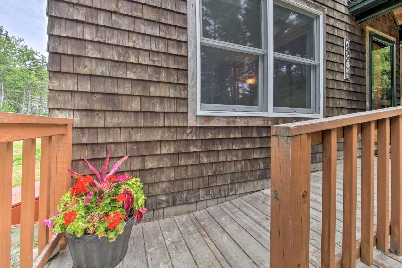 Hidden Gem Cottage Near Blue Hill Peninsula Brooklin 외부 사진